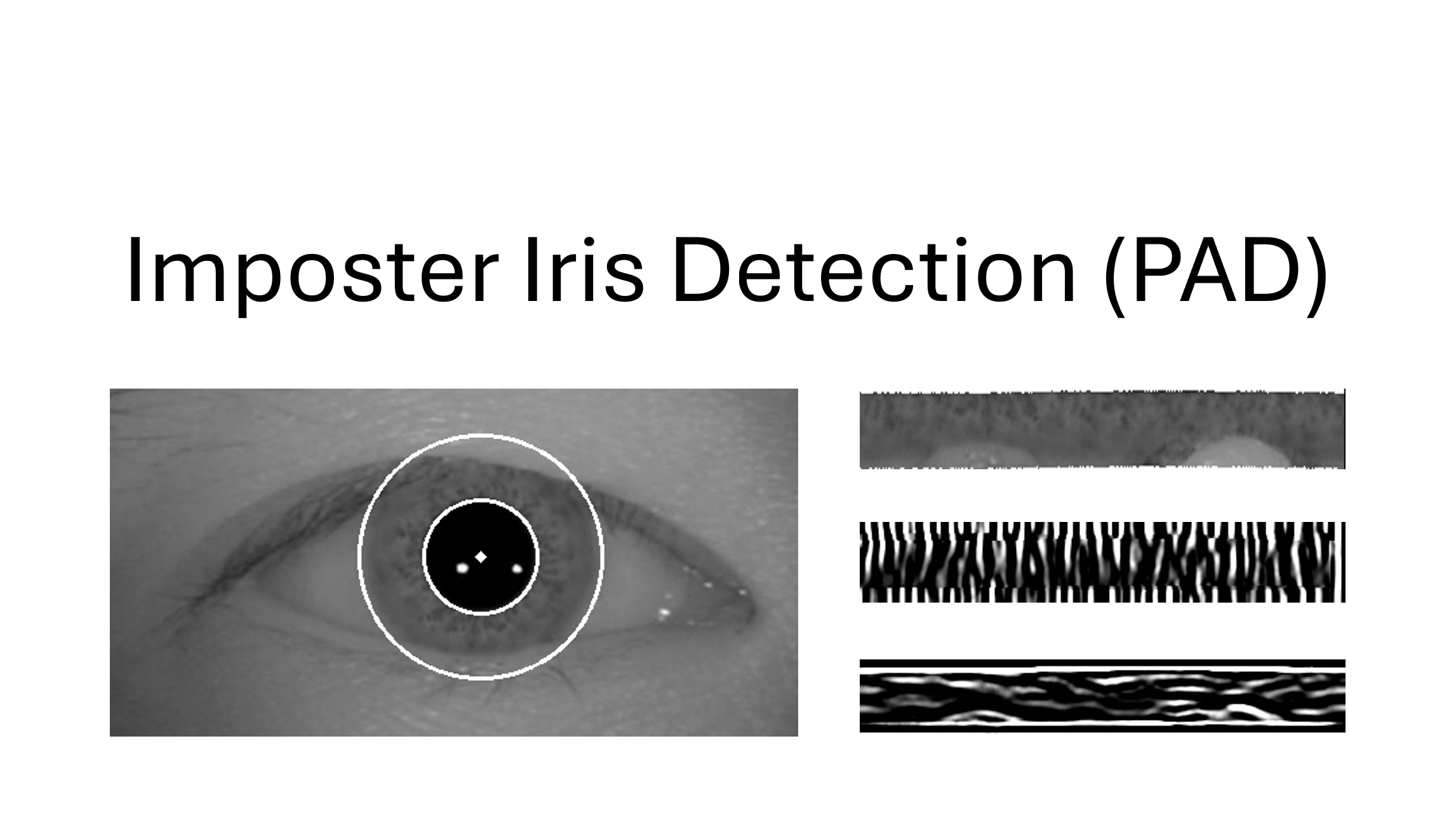 Image showing segmented artificial iris in grayscale with the unrolled iris and extracted features